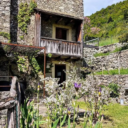 Borgo Selvapiana *