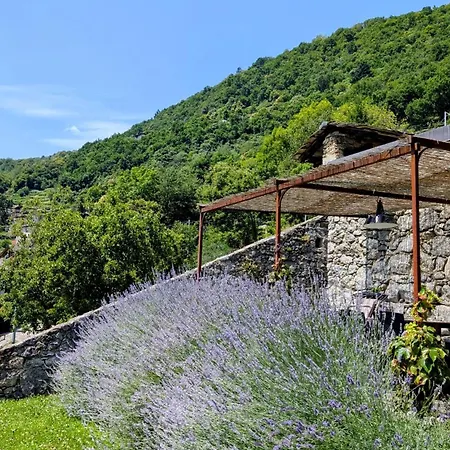 度假居 Borgo Selvapiana *